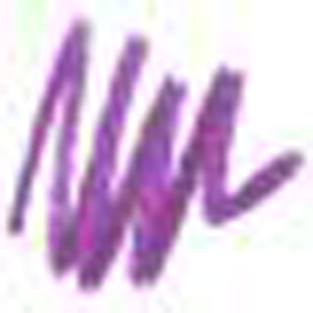 Nicka K Auto Lip Liner AA36 DARK ORCHID