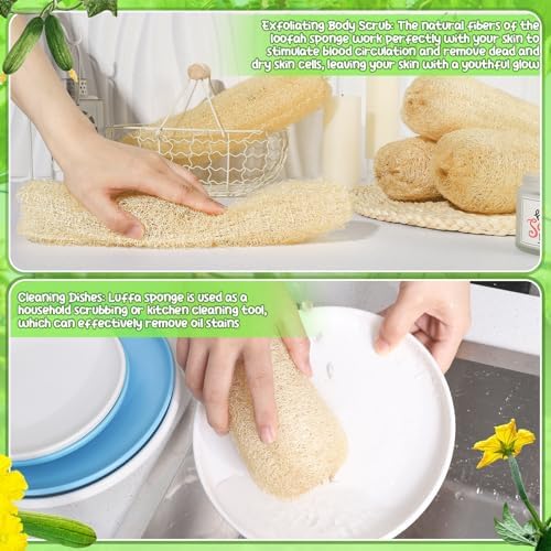 11.8 inches Natural Loofah Sponges Pack of 6, for Kitchen Dishes Body Scrubber