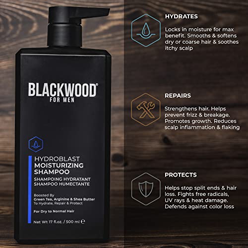 Blackwood For Men Hydroblast Moisturizing Shampoo - Men's Shampoo for Coarse, Dry, & Curly Hair - Infused with Ginseng & Ginger- Natural Vegan Formula -Sulfate Free, Paraben Free & Cruelty Free(17 Oz)