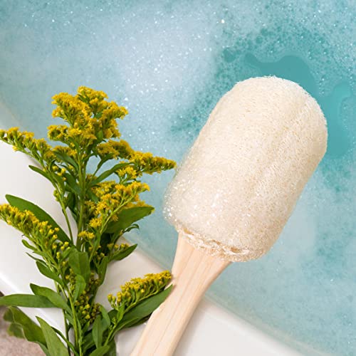 EcoTools Loofah Bath Brush, Back Brush for Bath & Shower, Made with Long Handle & Natural Loofah Material for Exfoliation, Shower Brush for Men & Women, Eco-Friendly & Cruelty-Free, 2 Count