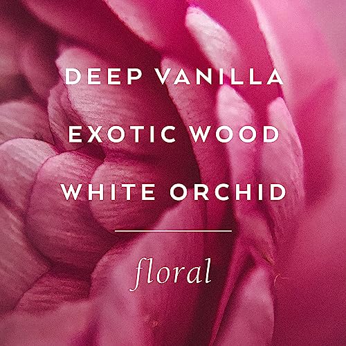 TokyoMilk Dead Sexy Gift Set Tin – Deep Vanilla, Exotic Wood, White Orchid, Ebony – Romantic & Ethereal, Embossed Tin, Perfumed Shower Gel, Shea Butter Handcreme & Nourishing Lip Balm