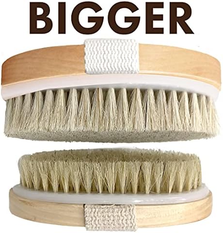 Dry Brushing Body Brush SCALA Natural Bristle Body Brush, Soft Body Exfoliating Brush Scrub for Dead Skin, Cellulite, Lymphatic Drainage, Blood Flow – Thicker & Stronger Medium Strength