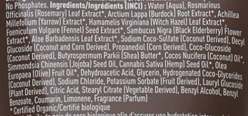 Desert Essence Coconut Shampoo, Nourishing for Dry Hair, Moisturizing, Softening, Hydrating, Anti-frizz, Olive Oil, Aloe Vera, Shea Butter, Paraben & Cruelty Free, 1.5 Fl Oz