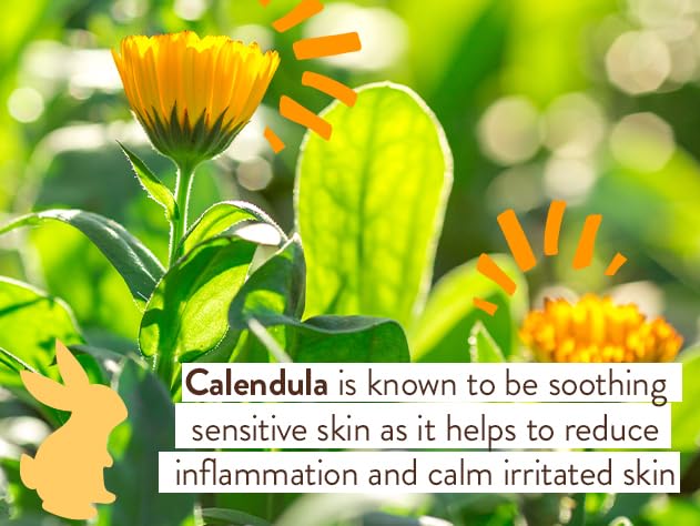 Babo Botanicals Moisturizing Oat & Calendula 2-in-1 Bubble Bath & Wash - for Dry or Sensitive Skin - for All Ages - Vegan - Lightly Scented - 1 or 2 Pack