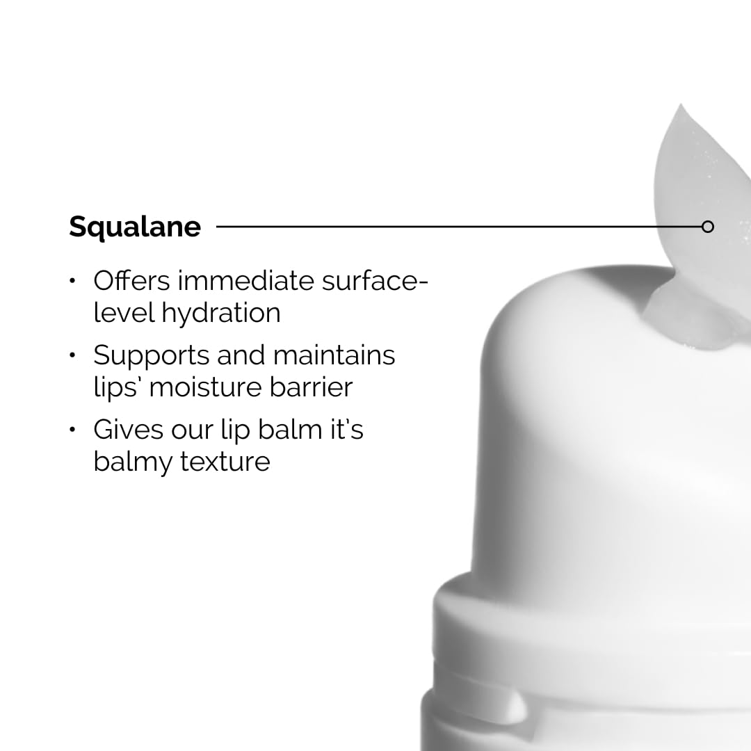 The Ordinary Squalane + Amino Acids Hydrating Lip Balm, for Lips, Elbows, and Cuticles, 0.5 Fl Oz