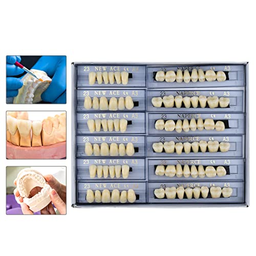 168 Pcs Dental Synthetic Resin Tooth Denture 3 Sets False Teeth 23 A3 Upper Lower Shade Dental for Halloween Horror Teeth