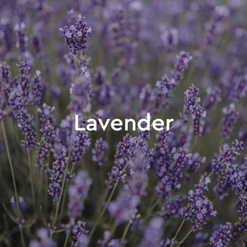 Kneipp Relaxing Lavender Aromatherapy Bubble Bath - Good for Relaxation - Vegan - 13.5 fl oz - Up to Eight Baths