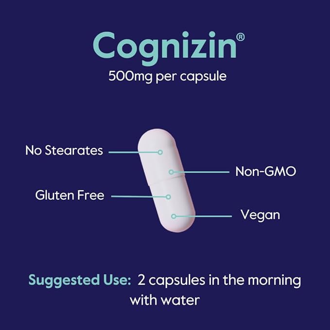 BESTVITE Cognizin 500mg (120 Vegetarian Capsules) (60x2) - Clinically Studied Premium Choline Nootropic - No Stearates - Vegan - Non GMO - Gluten Free - Brain Supplements for Memory and Focus