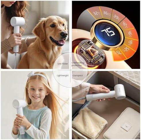 Beauti Flow Hair Dryer, High-Speed Ionic Blow Dryer, 110,000 RPM Low Noise Thermo-Control HairDryer, for Curly Hair for Home Travel Salon, No Heat Damage Care