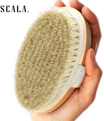 Dry Brushing Body Brush SCALA Natural Bristle Body Brush, Soft Body Exfoliating Brush Scrub for Dead Skin, Cellulite, Lymphatic Drainage, Blood Flow – Thicker & Stronger Medium Strength