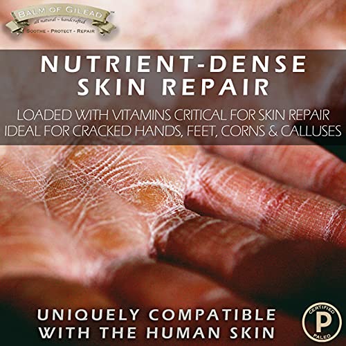 BALM OF GILEAD Tea Tree Balm - 2 fl oz Foot Cream with Tea Tree and Manuka Oil - Intensive Moisture for Itchy Feet, Eczema, Rashes & Dry Skin - Pure Balm That Softens Skin Irritations