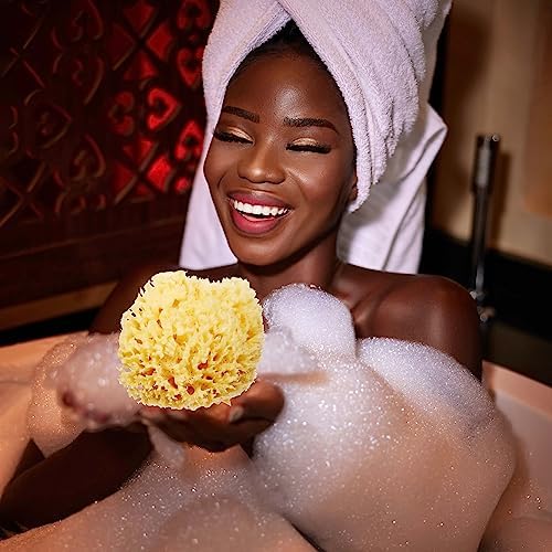 HartFelt Delicate Skin Wool Sea Sponge 4 in | Real Natural Sponges for Body and Face Gentle Care | Luxurious Lather