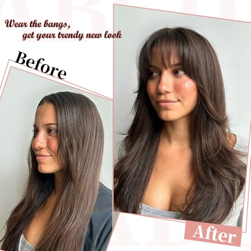 Bangs Hair Clip - Brown Black Clip in Bangs Real Human Hair, Fake Bangs Clip on Bangs for Women Fringe with Temples Wispy Bangs Hair Extensions for Daily Wear