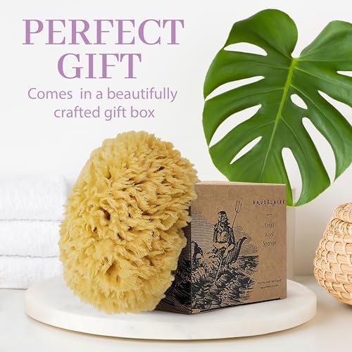 Sea Wool Sponge 5.5" - Natural Sea Sponge for Bathing and Shower - Durable, Sustainable & Environment-Friendly Loofah for Body