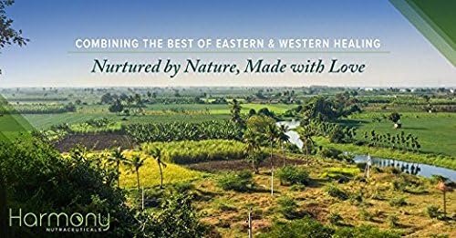 Amla & Beyond™ (Nisa Amalaki) Dr. Gumman's Clinical Grade Highest Potency Maximum Bioavailability