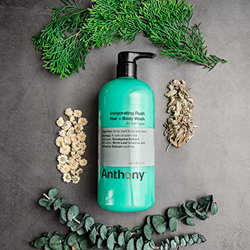 Anthony Mens Body Wash and Shampoo: Invigorating Rush 2-In-1 Liquid Gel Soap & Hair Shampoo, Pine Wood Scent, Hydrating with Eucalyptus, Canadian Balsam, Birch Leaf, Charcoal, Sea Kelp, 32 Fl. Oz