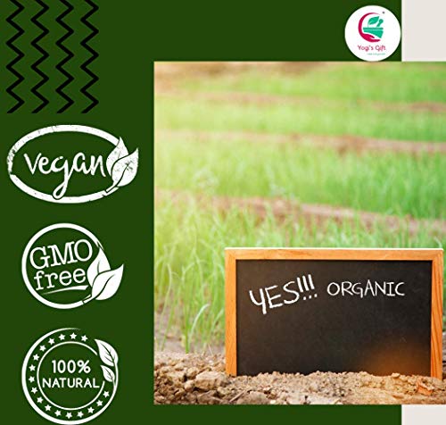 500 GRAMS | 100% Pure INDIGO POWDER for Hair (1.2LB /17.6 oz) | Ideal for Black and Dark Hair | Indigofera Tinctoria | Black Henna | Natural Hair color | Yogi's Gift