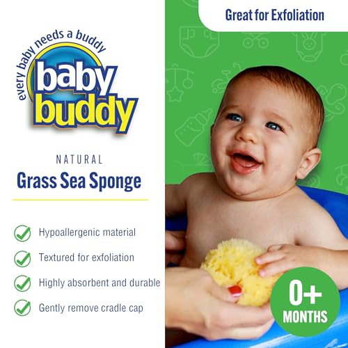 Baby Buddy Natural Grass Sea Sponge, Newborn Bath Time Essential, Textured for Exfoliation, Hypoallergenic, 1 Count