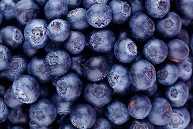 Bilberry Extract Powder - 8 oz - Herbal Supplement - Always Pure - No Fillers