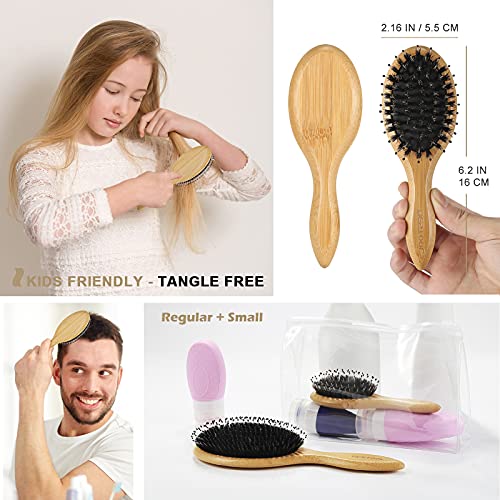 BESTOOL Hair Brush (Regular & Small), Boar Bristle Hair Brushes for Women Men Kids Thick Fine Curly Hair, Hairbrush for Detangling, Soften & Silky Shine