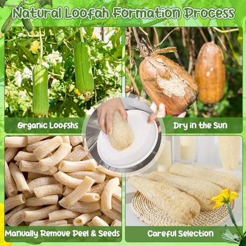 11.8 inches Natural Loofah Sponges Pack of 6, for Kitchen Dishes Body Scrubber