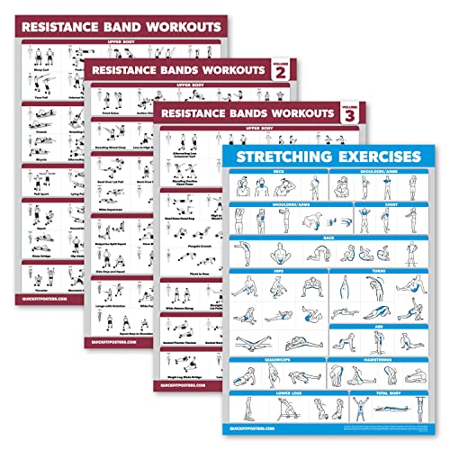 Palace Learning 4 Pack - Resistance Bands Workout Posters Volume 1, 2 & 3 + Stretching Exercise Chart (Laminated, 18" x 24")