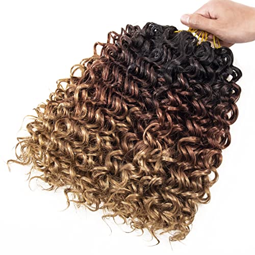 GoGo Curl Crochet Hair for Women Water Wave Curly Crochet Hair Wavy Human Hair Deep Wave Beach Curl Crochet Synthetic Hair Extensions (12 inch(Pack of 6), 1B/30/27)