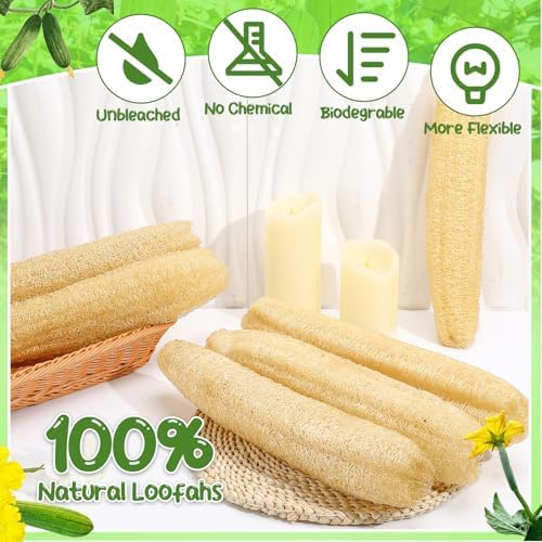 15.7 inches Natural Loofah Sponges Pack of 6, for Kitchen Dishes Body Scrubber