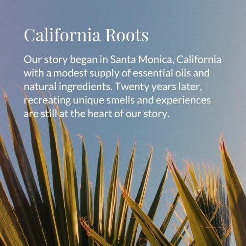 Archipelago Botanicals Botanico de Havana Eau de Toilette Spray for Men and Women, Long-lasting Personal Fragrance for Everyday Use, Scent Notes of Bergamot, Orange Peel & Honeysuckle, 1.58 fl oz