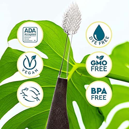 RADIUS Toothbrush Source Floss Brush BPA Free & ADA Accepted Improve Gum Health & Reduce Gum Issues - Soft - Hemp/Soda Pop Ecogrind/Starch- Pack of 3