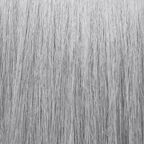 Ion Permanent Brights Creme Toner Icy White, Vegan, Cruelty Free, PPD Free, 100% Gray Coverage, Long Lasting, Fade Resistant Color, 2.05 oz