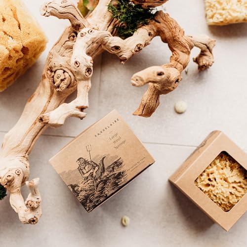 Sea Wool Sponge 5.5" - Natural Sea Sponge for Bathing and Shower - Durable, Sustainable & Environment-Friendly Loofah for Body