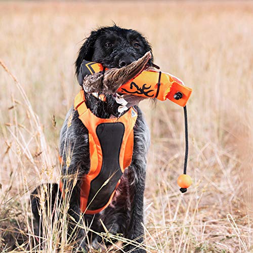 Browning unisex adult Pet Toy Browning Canvas Training Dummy Orange Small, Canvas Training Dummy (Orange), Small US