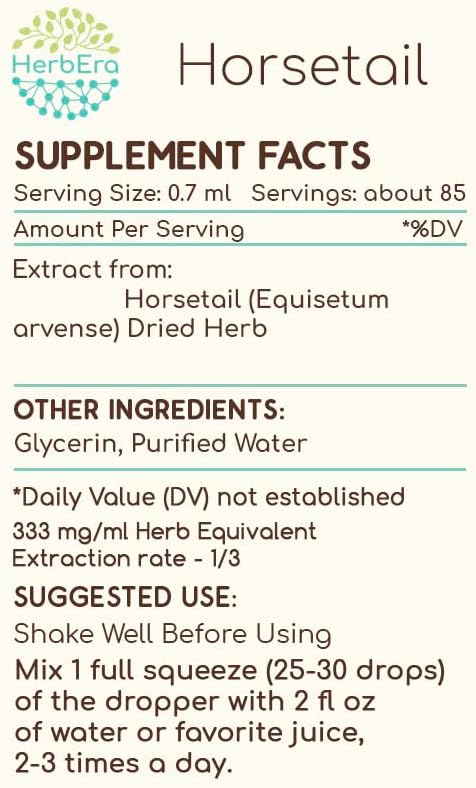 Horsetail B60 Alcohol-Free Herbal Extract Tincture, Concentrated Liquid Drops Natural (Equisetum arvense) 2 fl oz