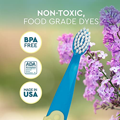 RADIUS Children's Toothbrush, Totz Plus Brush, Extra Soft Bristles, White/Green/Lightblue, BPA Free & ADA Accepted, for Delicate Teeth & Gums for Children 3 Years & Up, Pack of 3