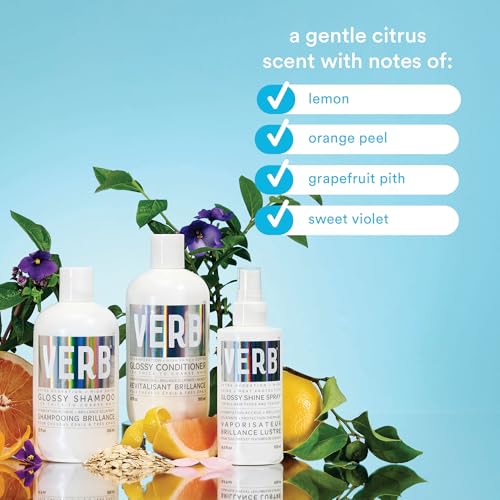 VERB Glossy Conditioner – Conditions, Detangles + Adds High Shine for Thick to Coarse Hair – Vegan, No Parabens or Harmful Sulfates