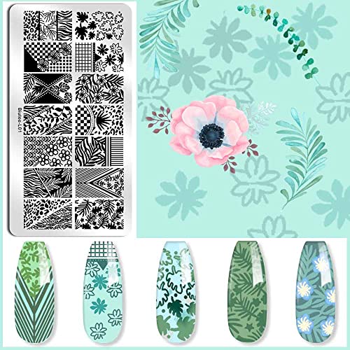 Biutee Nail Stamping Plates set 8 pcs Nail stamping polish gel 10pcs Templates with stamper Nail Art Plates set Valentine Nail Plates animal flower Rose design