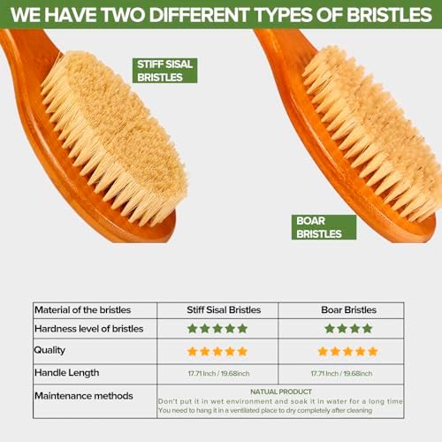 ICANdOIT-17.71Inch Natural Boar Bristles Anti-Slip Long Handle Bath Brush,Bent Handle Shower Scrubber for Exfoliating,Shower Back Brush,Exfoliation Set with Pumice Stone (1 Pack)