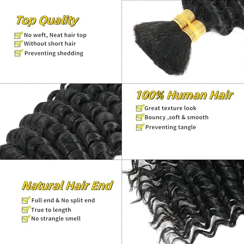 Boho Hair for Braiding Deep Wave Curly Bundles Human Hair Boho Braiding Hair Wet and Wavy Boho Braids Human Hair Extensions Real 12A Bulk 100% Human Hair for Braiding Supplies No Weft 2 Bundles 105g
