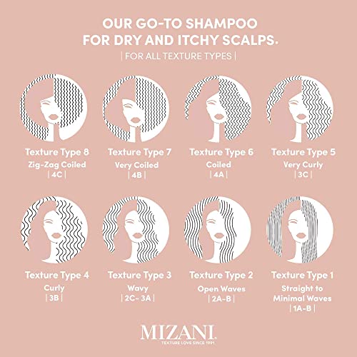 MIZANI Scalp Care Dandruff Shampoo - Cleanses Hair & Scalp, For Curly Hair