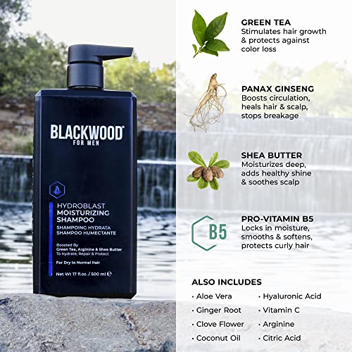 Blackwood For Men Hydroblast Moisturizing Shampoo - Men's Shampoo for Coarse, Dry, & Curly Hair - Infused with Ginseng & Ginger- Natural Vegan Formula -Sulfate Free, Paraben Free & Cruelty Free(17 Oz)