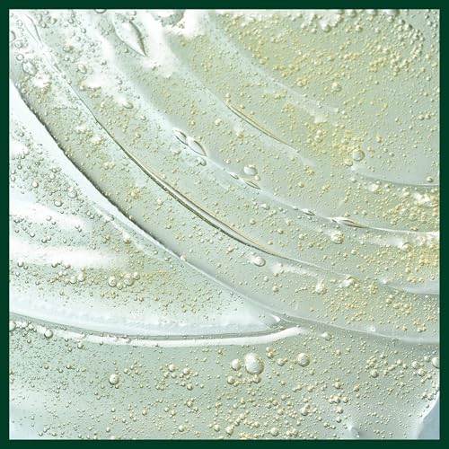 Aveda Scalp Solutions Exfoliating Scalp Treatment | Removes Sebum, Build-Up & Pollution for All Scalp Types | Wintergreen-Derived Salicylic Acid | Cooling Sensation | 96% Naturally Derived*