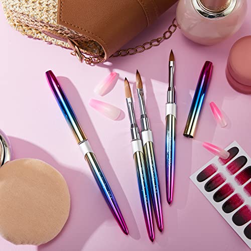 4 Pieces Kolinsky Acrylic Nail Brush Kolinsky Hair Bristles Round Shaped Handle Acrylic Brush Nail Brushes for Acrylic Application Nail Art Brush Nail Manicure Tool Size 6, 8, 10, 12