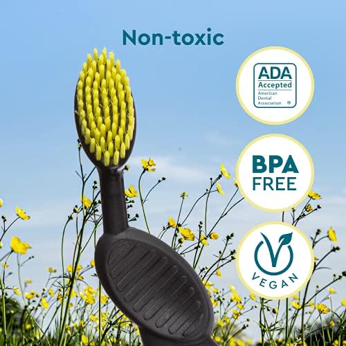 RADIUS Toothbrush, Flex Brush, Soft Bristles, Right Handed, Watermelon Brush with White Bristles, BPA Free & ADA Accepted, Pack of 1