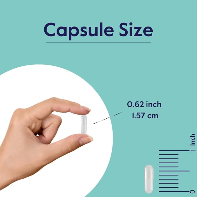 BESTVITE Melatonin 3mg (240 Vegetarian Capsules) - No Crospovidone - No Dextrose - No Dicalcium Phosphate - No Stearates - Vegan - Non GMO - Gluten Free - Easy to Swallow Capsule