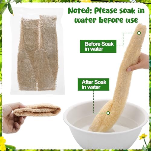 15.7-19.7 inches Natural Loofah Sponges Pack of 4 for Kitchen Dishes Body Scrubber