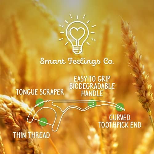 Biodegradable Dental Floss Picks 100 Count 2 Packs | Eco-Friendly Bamboo Like Straw Wheat Sustainable Mint Flavored Flossers for Kids and Adult Teeth Cleaning for The Enviromentally Conscious