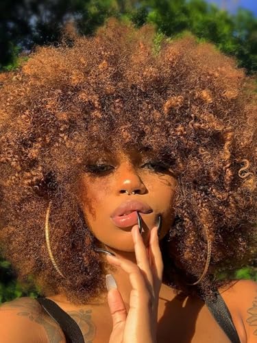 Afro Wig 14Inch Afro Wigs for Black Women 70s Mixed Brown Afro Kinky Curly Wig Bouncy Huge Fluffy Puff Wigs Synthetic Hair for Cosplay Daily and Party (Mixed Brown)