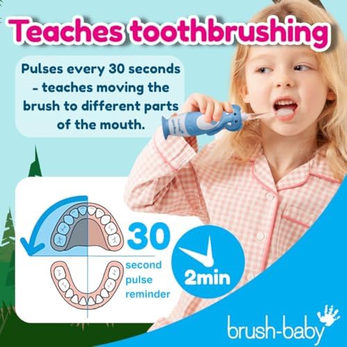 brush-baby - Kids Rechargeable Electric Toothbrush, 0-10 Years - WildOnes, Bear Design with Flashing Lights - DeepClean Bristles for Superior Clean - 2X Replacement Heads, 1x USB Cable