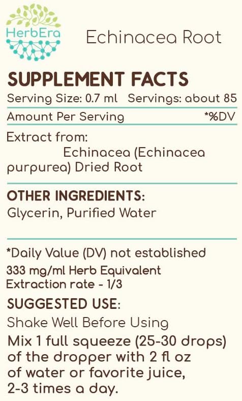 Echinacea Root B60 Alcohol-Free Herbal Extract Tincture, Super-Concentrated Responsibly farmed Echinacea (Echinacea Purpurea) Dried Root 2 fl oz